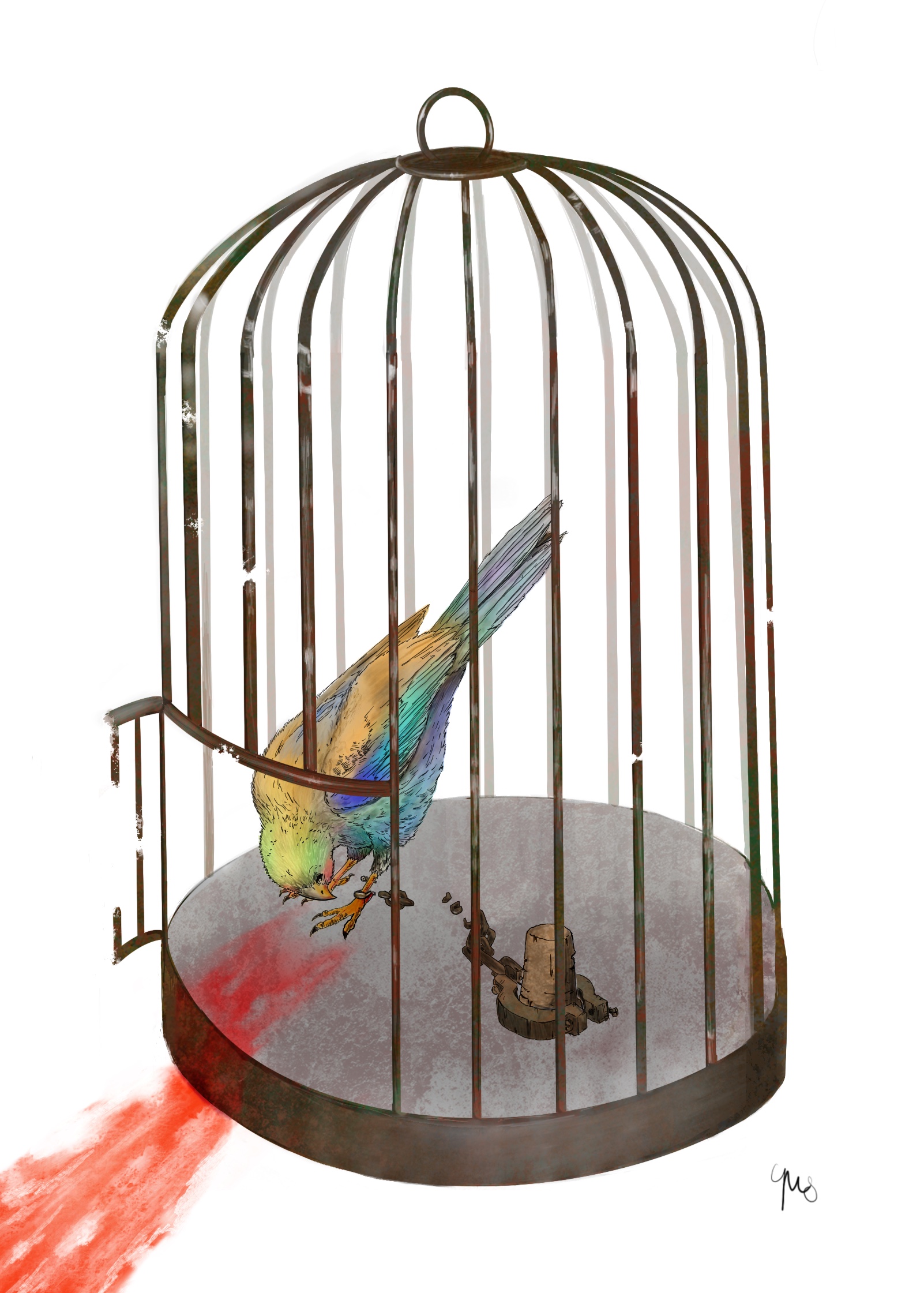 Bird_Cage_Final-2.jpg